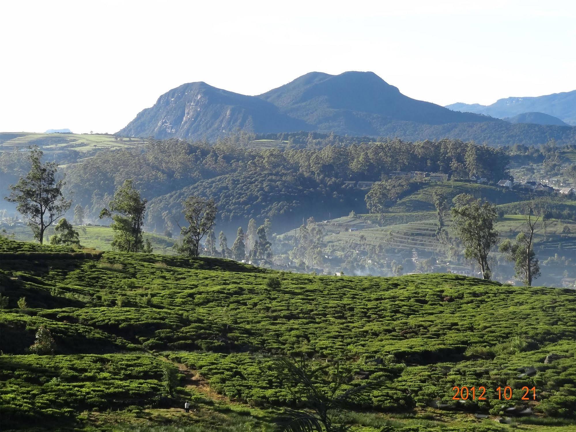 Senani Colonial Holiday Bungalow Nuwara Eliya Ngoại thất bức ảnh