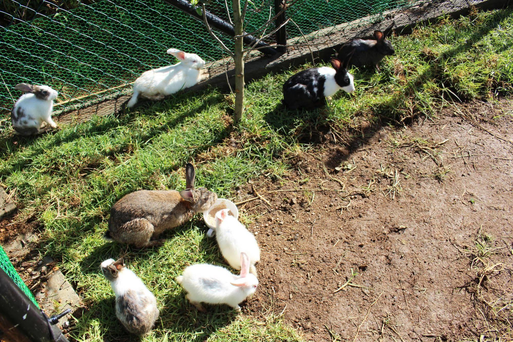 Senani Colonial Holiday Bungalow Nuwara Eliya Ngoại thất bức ảnh